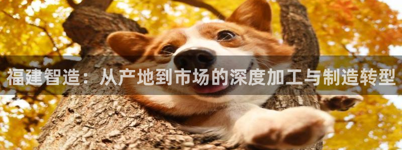 玖发娱乐平台刮刮乐