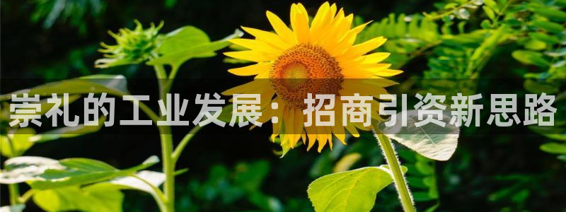乐发III平台注册