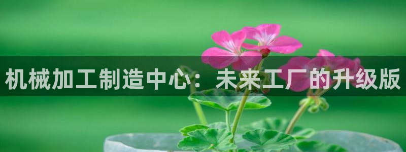 彩票乐发III购彩平台