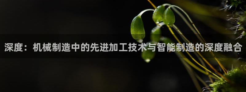乐发彩票是黑平台吗知乎