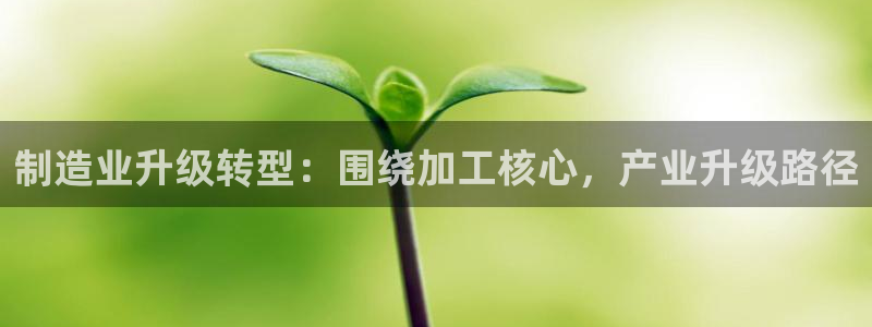 乐发平台注册地址怎么填