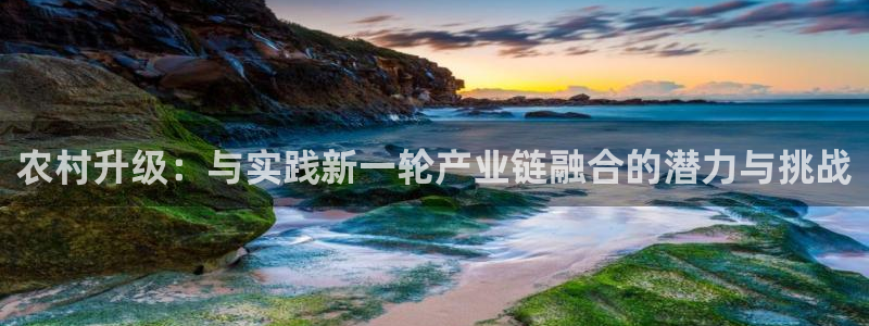 乐发viii平台 首页