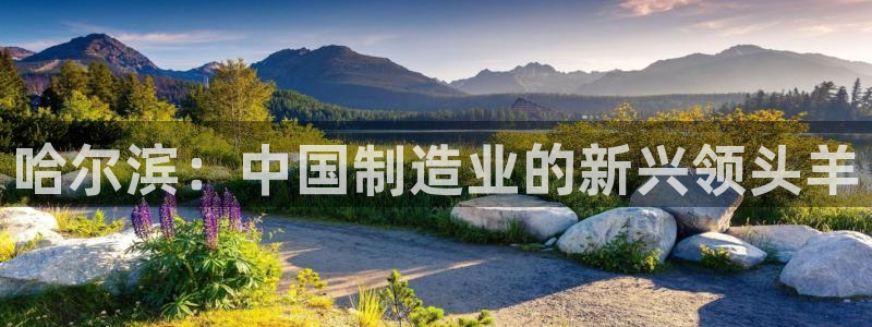 凯发百家乐AG平台