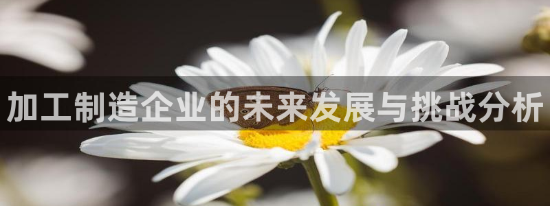 乐发平台彩票