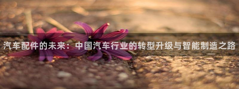 棋乐棋牌平台浦发棋牌