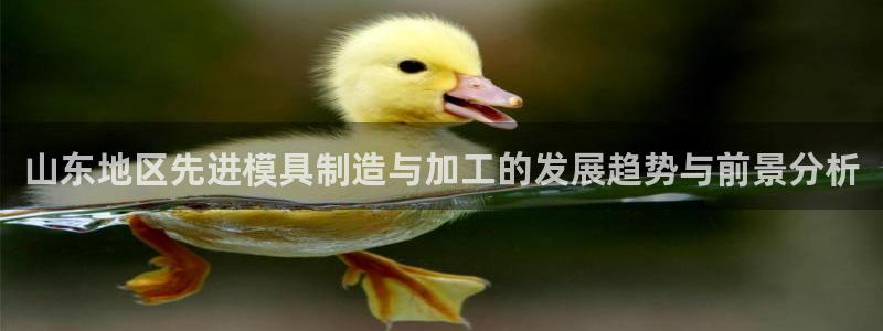乐发彩票网平台可信不