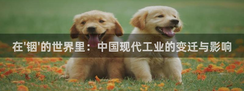 乐发体育平台官网下载