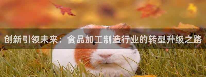 乐发平台app