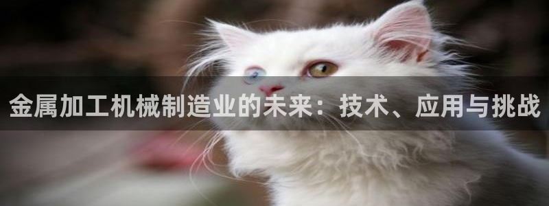乐发是大平台吗