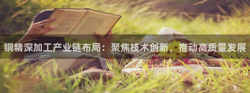 乐发i平台下载
