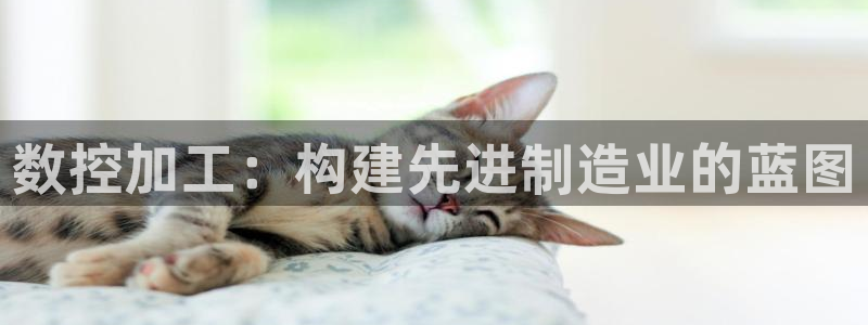 发发乐游戏平台