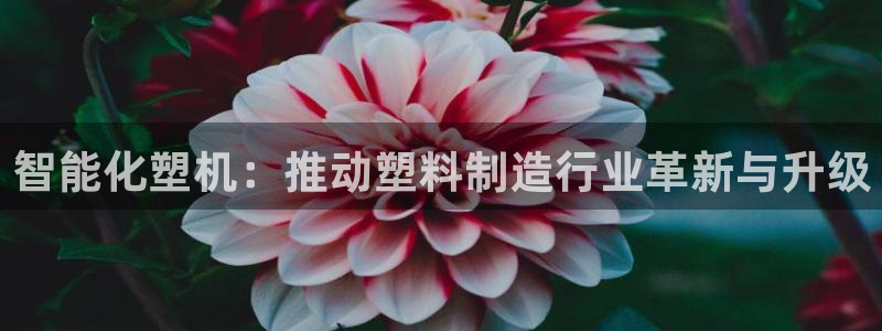 乐发vl彩票平台