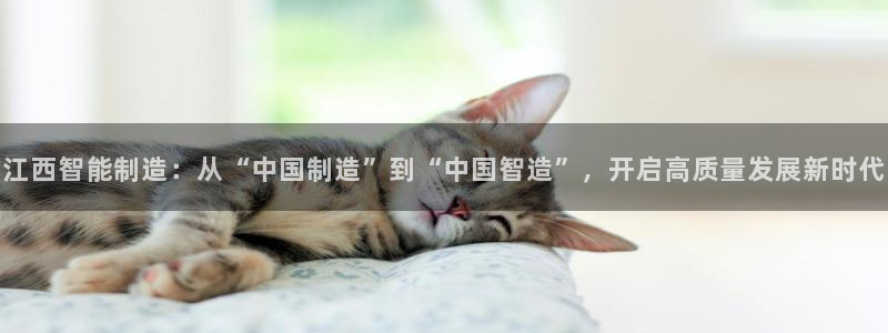 万发大平台乐透