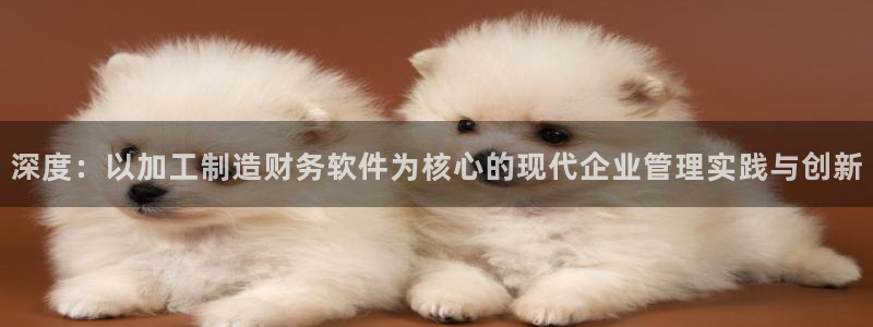 乐发III平台