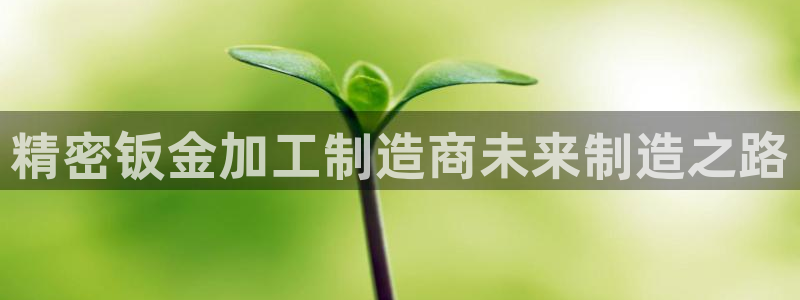 乐发VIII平台免费版