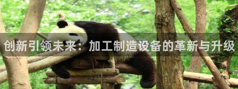 乐发平台注册流程图片