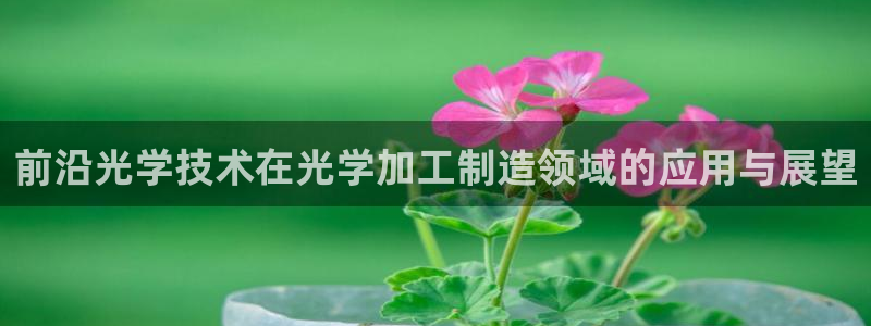 乐发v11平台怎样