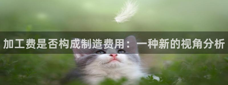 乐发平台今天咋打不开