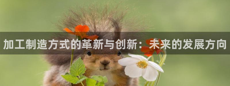 乐豪发娱乐官方平台