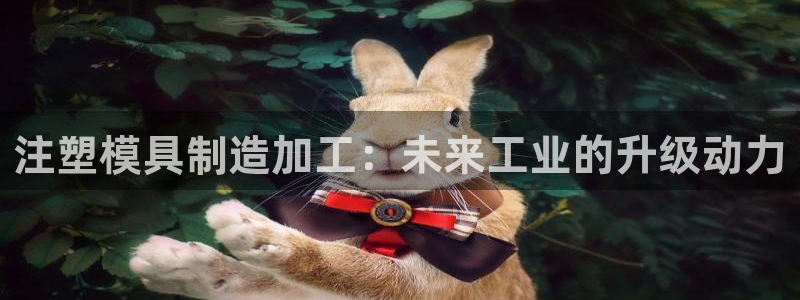 乐发平台下载安装最新版