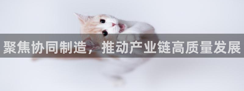 乐发彩票平台正规不