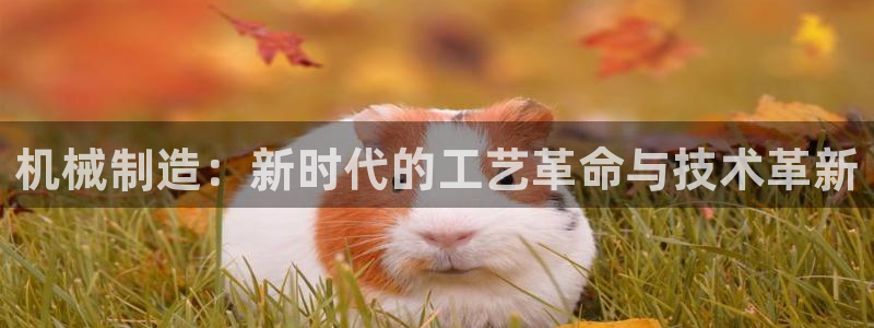 乐发平台为什么打不开了