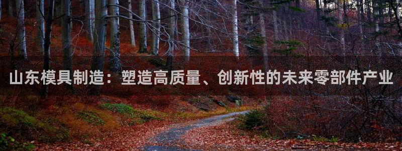 乐发1平台下载安装