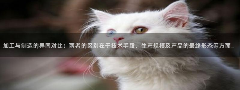 乐发传媒平台是查封了吗