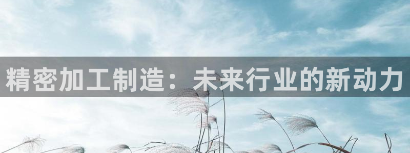 乐发IV平台注册