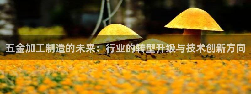 乐发92lv官方平台