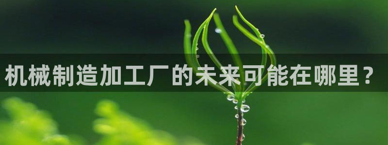 乐发彩票直播平台怎么样