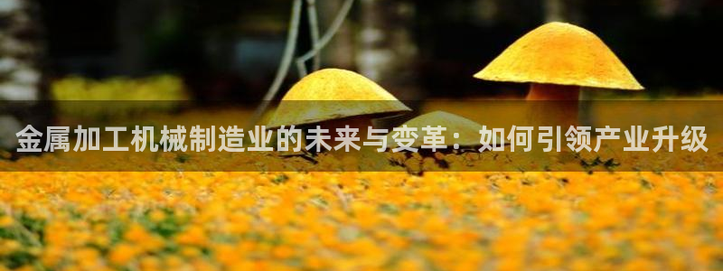 乐发快3大小单双平台