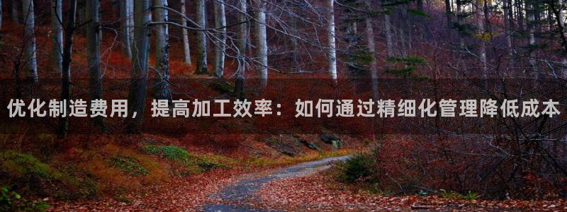 乐发平台赚钱技巧是什么