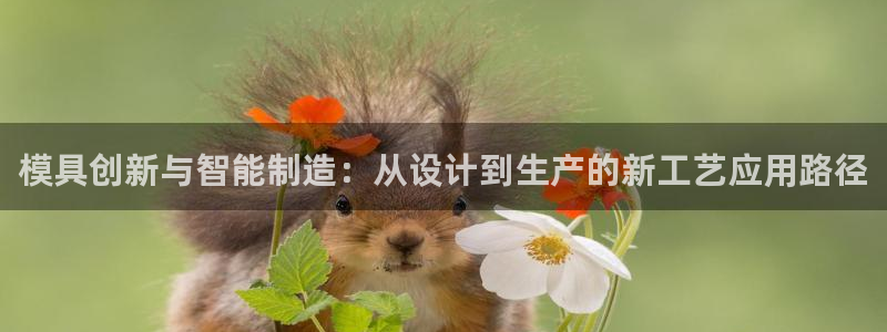 乐发vll彩票平台