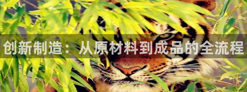 乐发平台下载官网网址