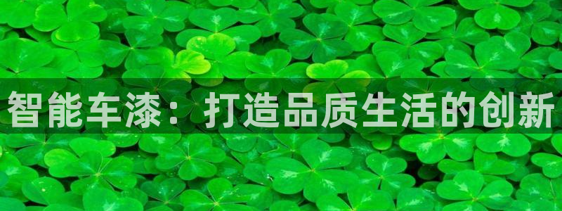 大发乐发x诈骗平台