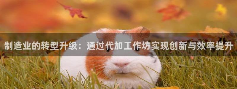 玖发娱乐平台刮刮乐