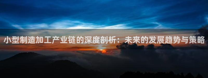 大发乐发x诈骗平台