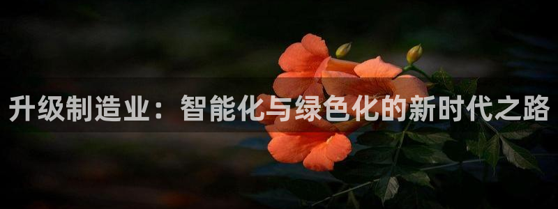 乐发平台怎么样知乎赚钱