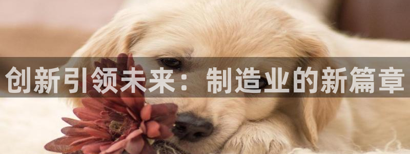 乐发III平台注册