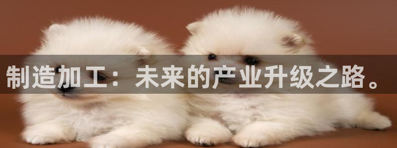 乐发彩票平台玩能赚钱吗