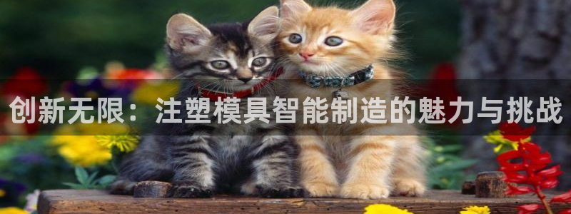 乐发平台app下载安装