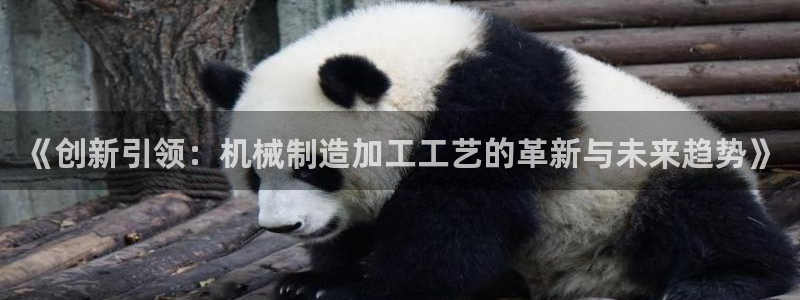 乐发彩票最新平台下载