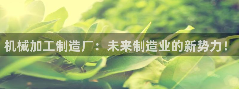 乐发III平台怎么样