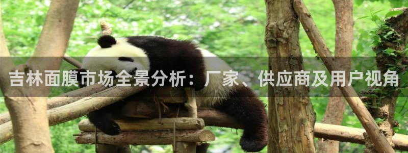 乐发平台app下载安装官网