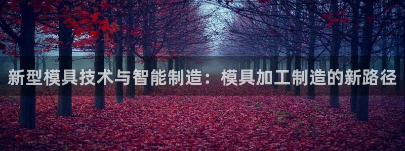 乐发平台注册流程图