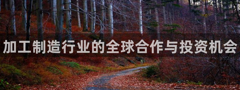 乐发平台注册下载安装