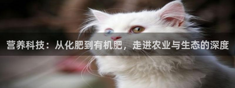 乐发邀请码平台