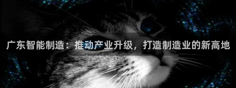 乐发彩票平台正式版下载